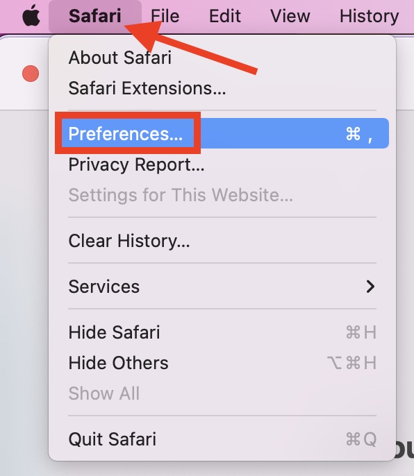 safari password history